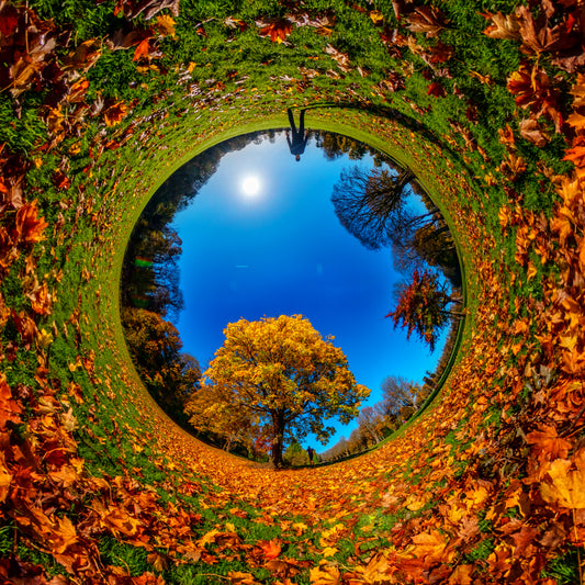 Autumn in Llandaff fields, Cardiff. Tiny Planet Photograph.