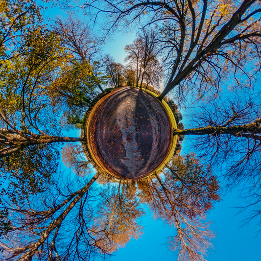 Winter Light, Pontcanna, Tiny Planet Photograph.