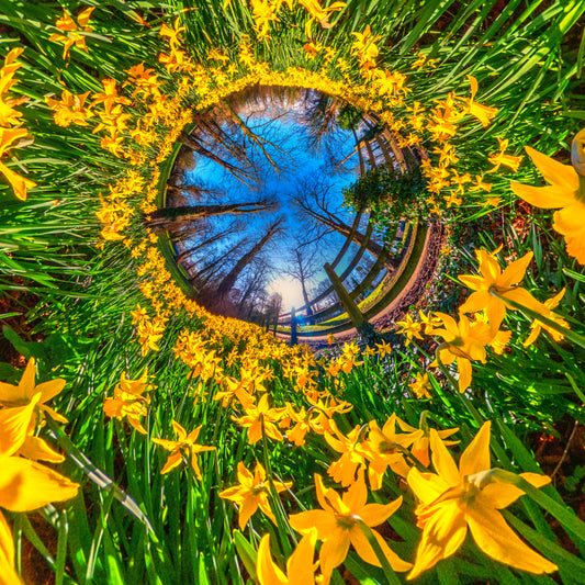 The Colour of Spring, Tiny Planet Photograph.